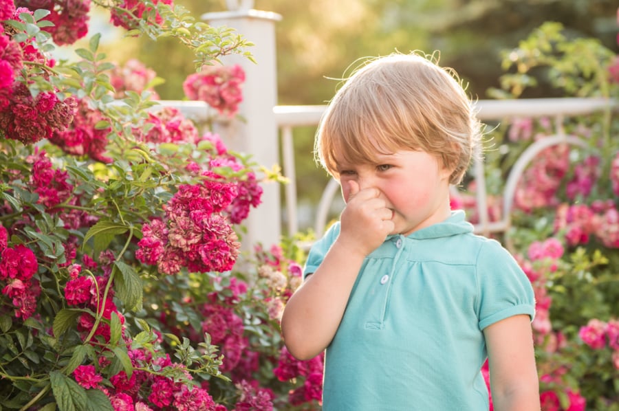4 דרכים בדוקות ומנוסות לנצח אלרגיה אביבית
