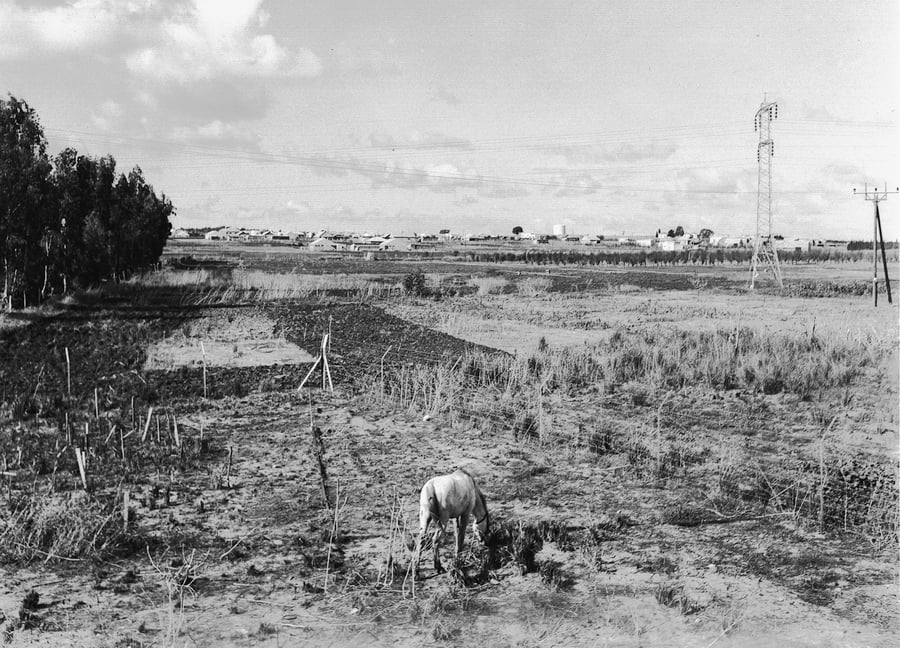 השדות שהקיפו את חדרה, בשנת 1938