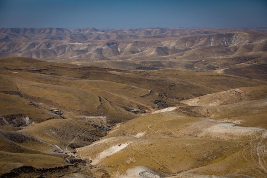 במדבר: מה העניין הגדול בספירת עם ישראל