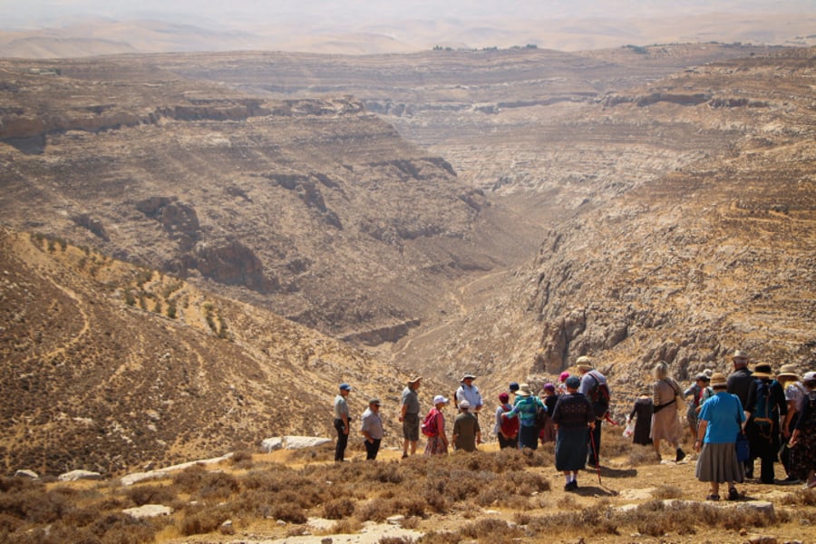 מטיילים אתמול במדבר יהודה