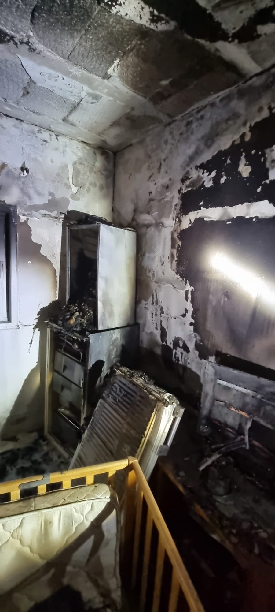שריפה בדירה בבני ברק: שני תוכים מתו