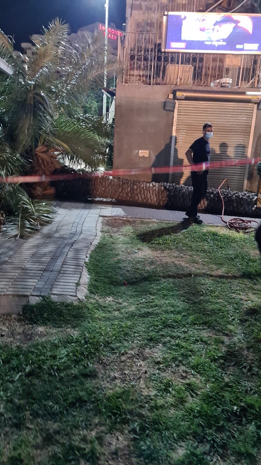 סמוך לחב"ד בטבריה: עץ דקל שנפל - הרג אישה
