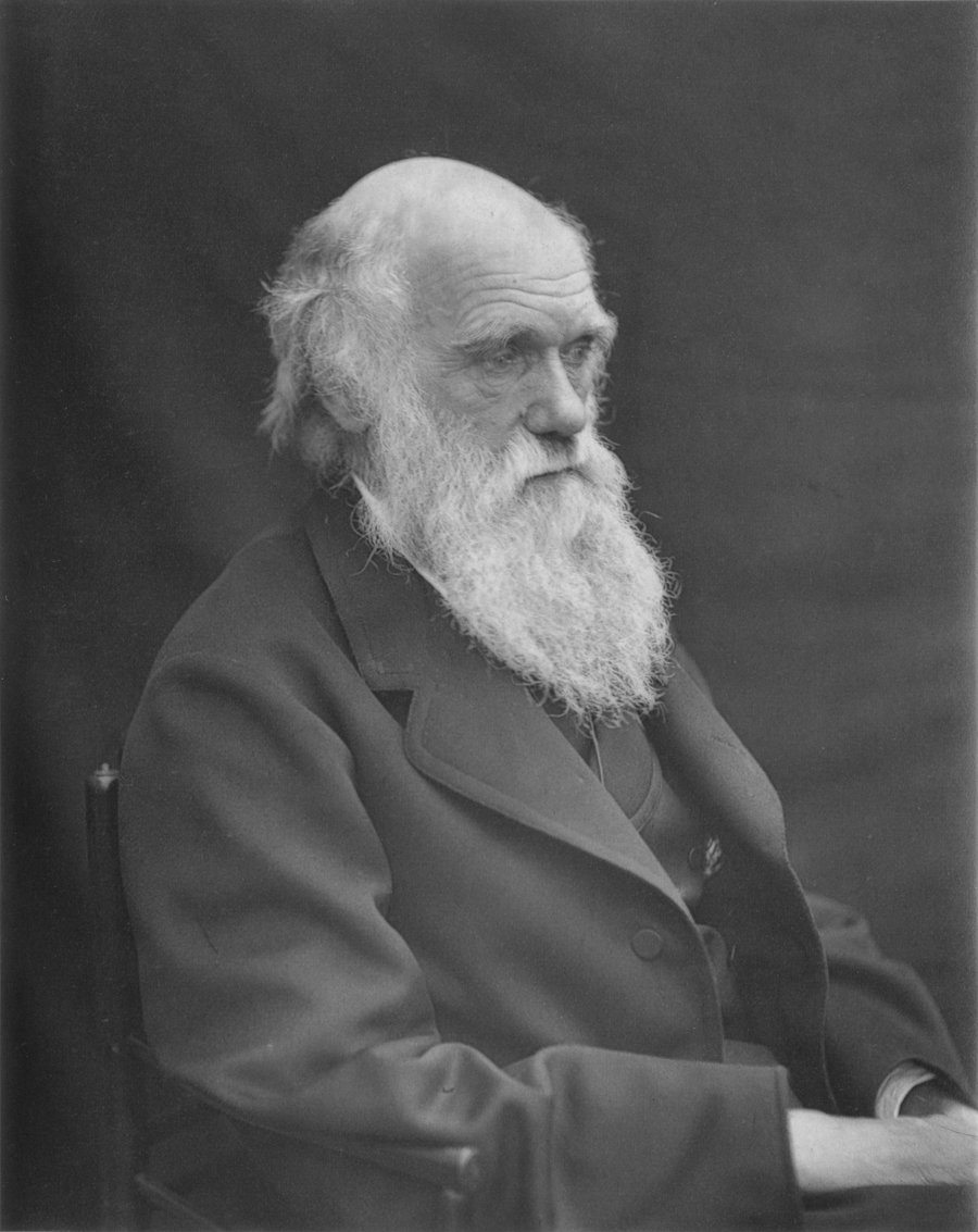 אבי תורת האבולוציה צ'ארלס דרווין עליו טען הרב אליהו מרגליות שהגר"ג נדל הזדהה חלקית עם דבריו