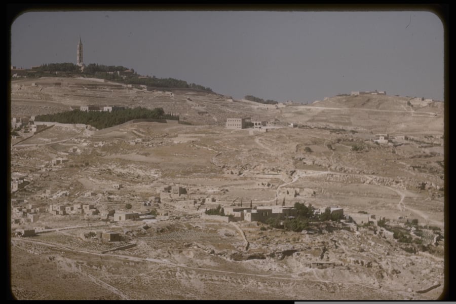 הר הזיתים, 1950