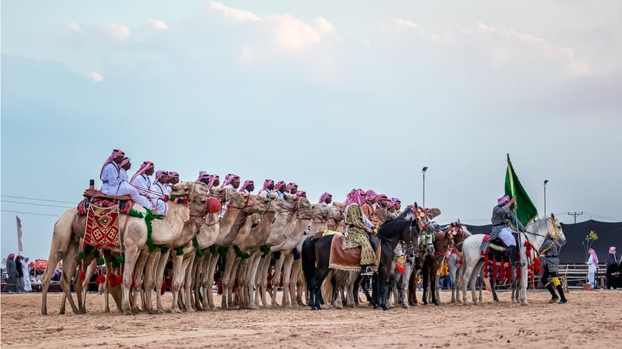 פסטיבל הגמלים הסעודי