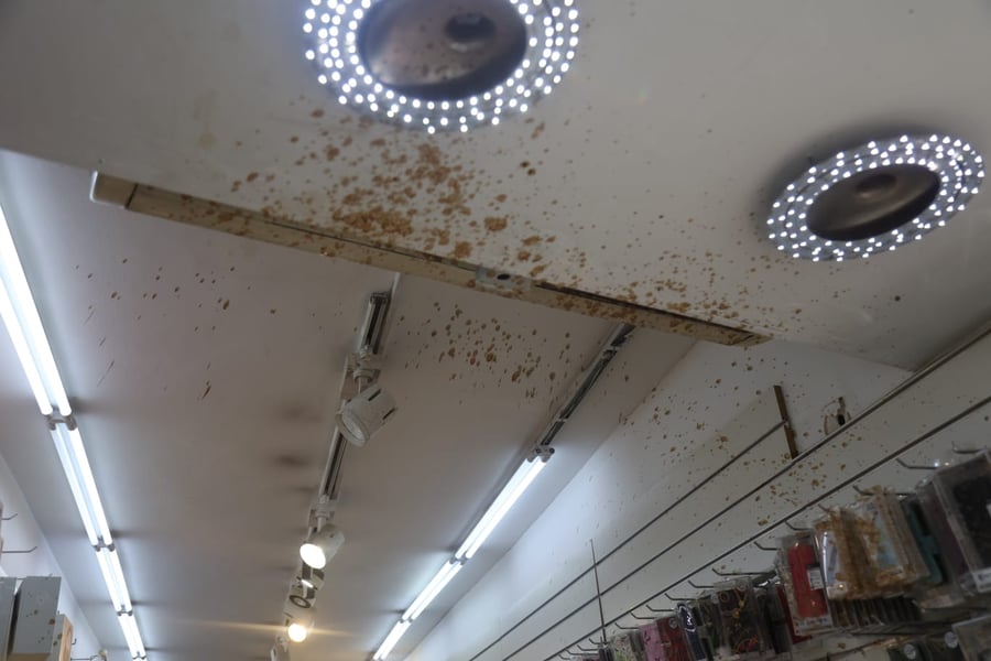 גאולה: קיצוניים זרקו דגים מקולקלים על חנויות
