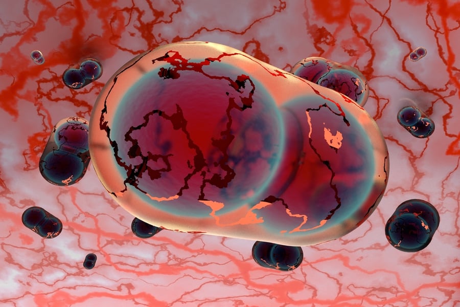 איור תלת מימד של וירוס האבעבועות השחורות