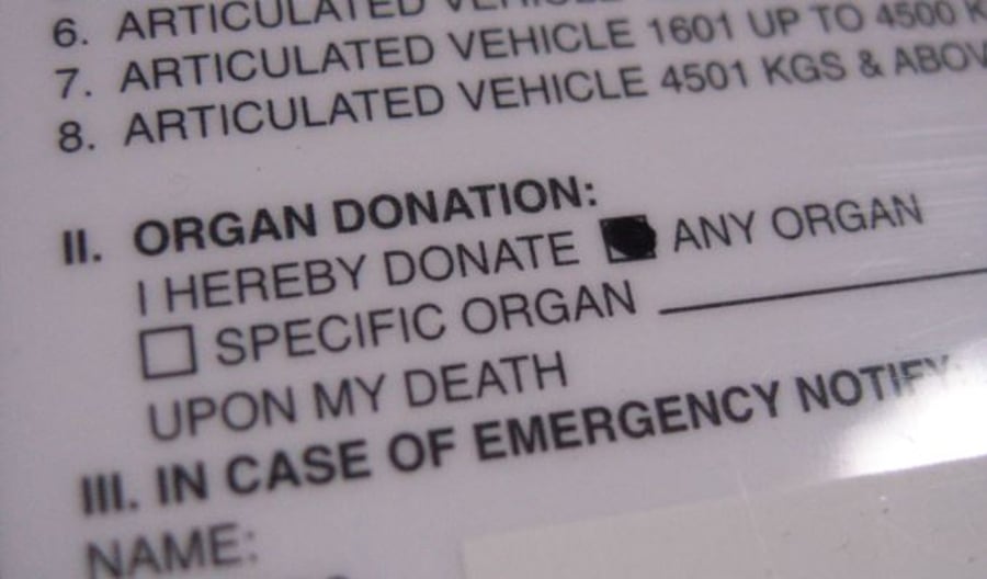 סעיף תרומת איברים, על רישיון נהיגה אמריקני