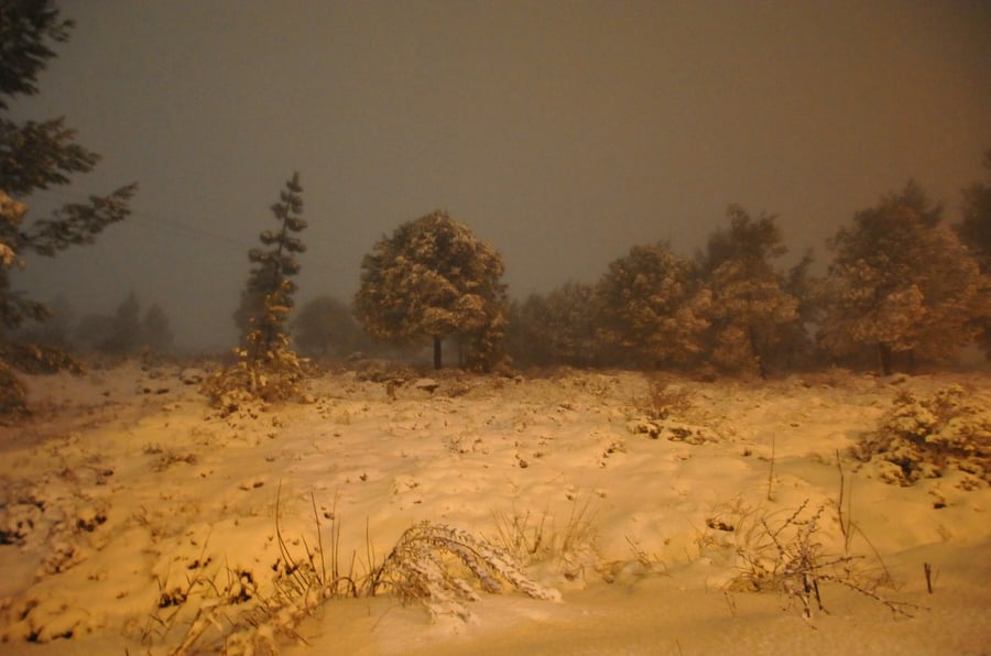 בובות באישון ליל: מראות השלג בביתר עילית