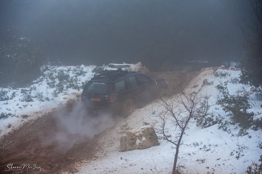 גלריה חורפית: השלג שירד בסופ"ש בהר מירון