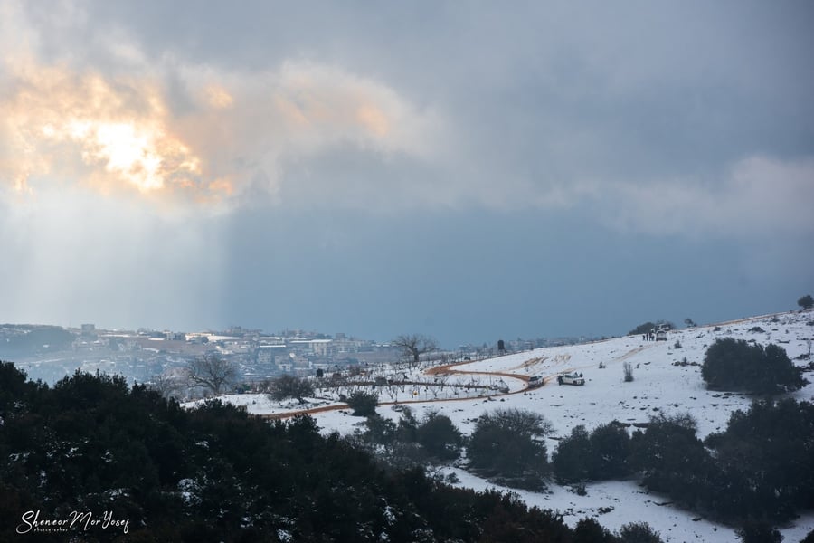גלריה חורפית: השלג שירד בסופ"ש בהר מירון
