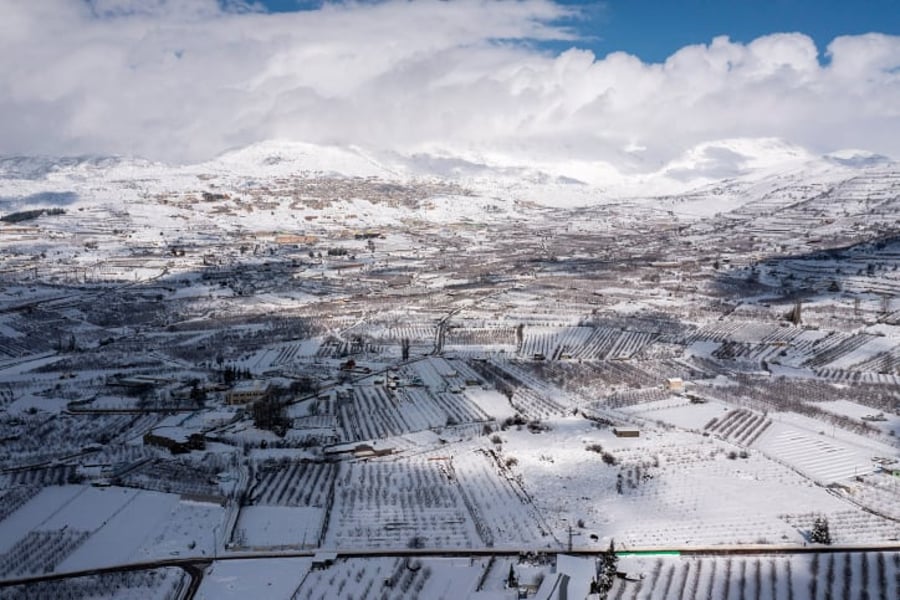 החורף הכה בחקלאות: כ-60 מיליוני שקלים נזק