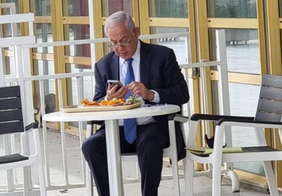 זופניק בכיכר • כל התמונות והנייעס של השבוע