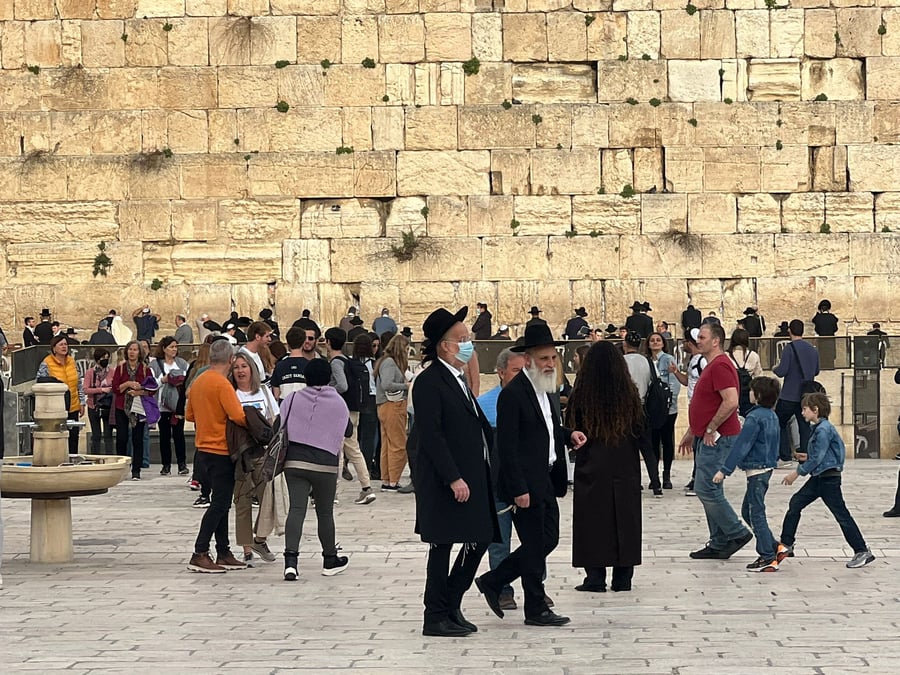 זופניק בכיכר • כל התמונות והנייעס של השבוע
