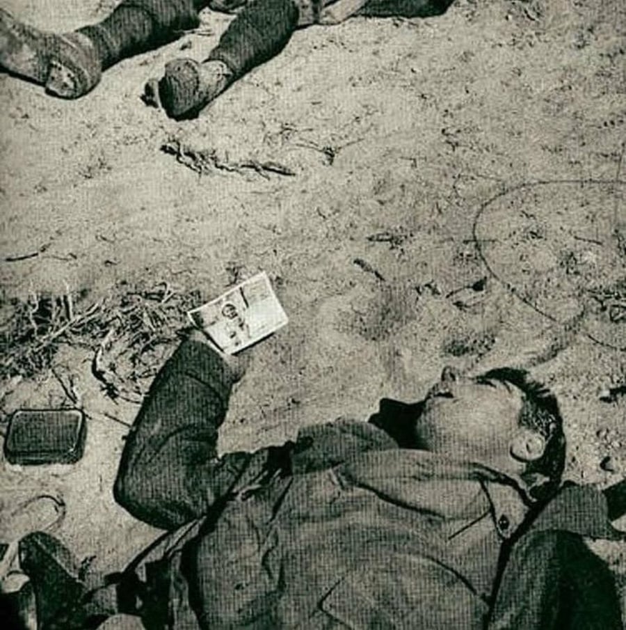 1940, צפון אפריקה: עגום - חייל איטלקי הרוג בשדה הקרב, כשבידו תמונת בנו