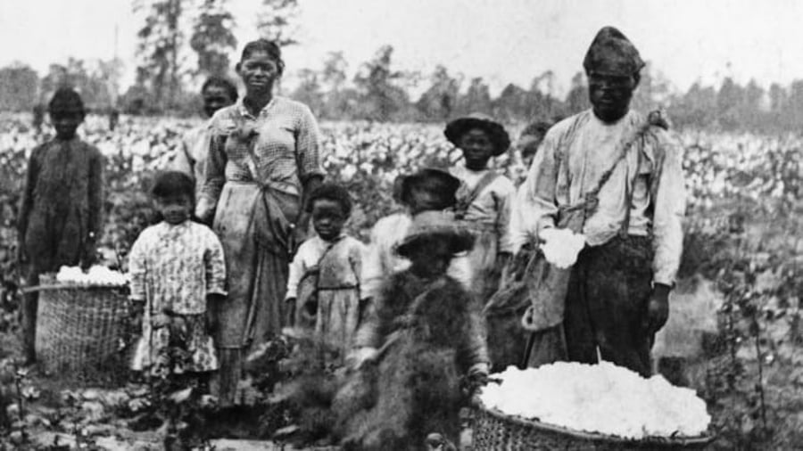 משפחת עבדים בשדה כותנה בסוואנה, גו'רג'יה. שנות ה-1860