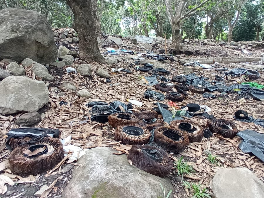 עשרות שטריימלים אותרו במתחם כת 'לב טהור' בגואטמלה