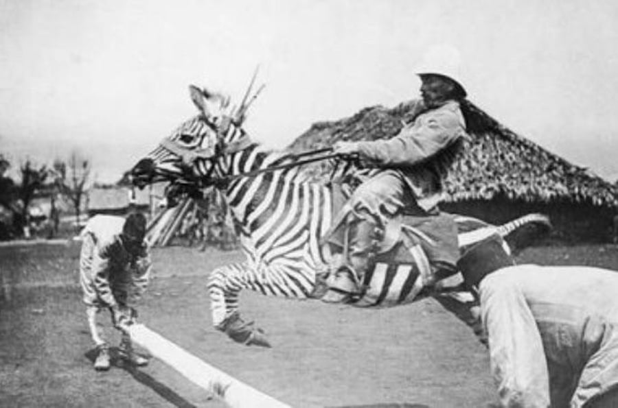 חייל מנסה לרכב על זברה. מזרח אפריקה הגרמנית 1910
