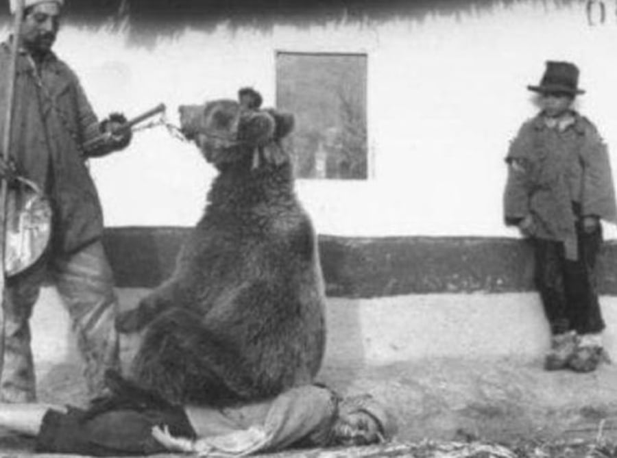 והנה שיטה דומה לריפוי כאבי גב: להגביר אותם. הצועני שבתמונה מכוון דוב באמצעות חוטים על גב הפציינט. רומניה 1946