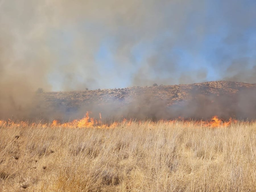 רימון עשן באימון צבאי גרם לשריפה בטבע