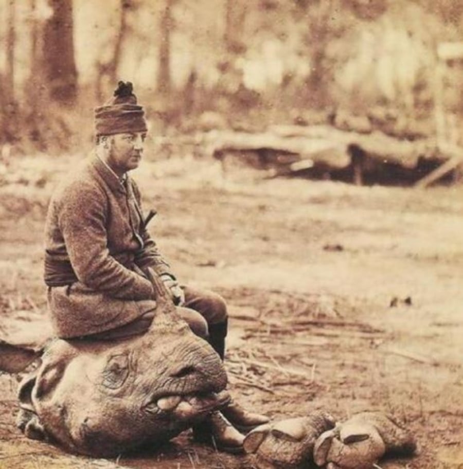 מנוחת הצייד על ראש קרנף שלכד. נפאל 1870