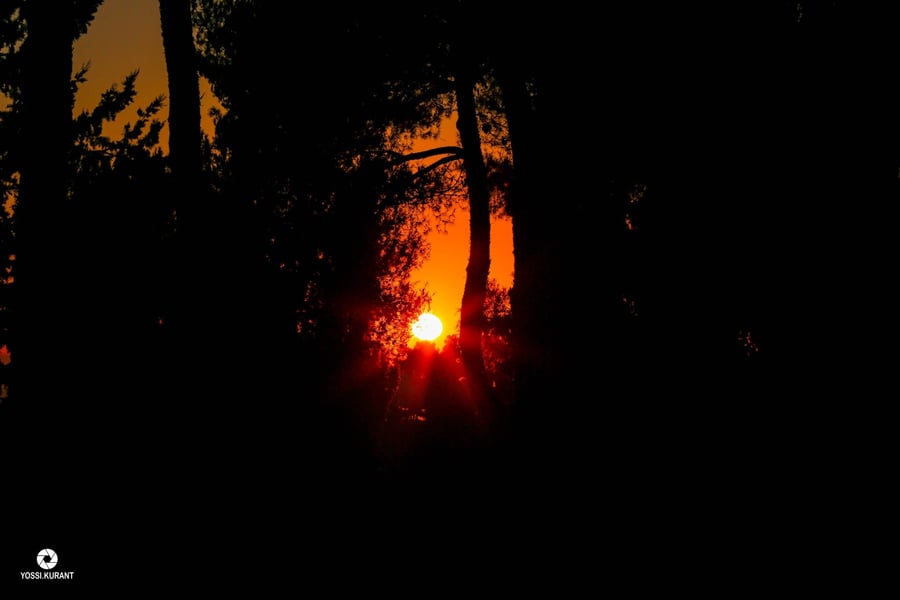 תיעוד מרהיב: זריחת השמש בהריה של צפת
