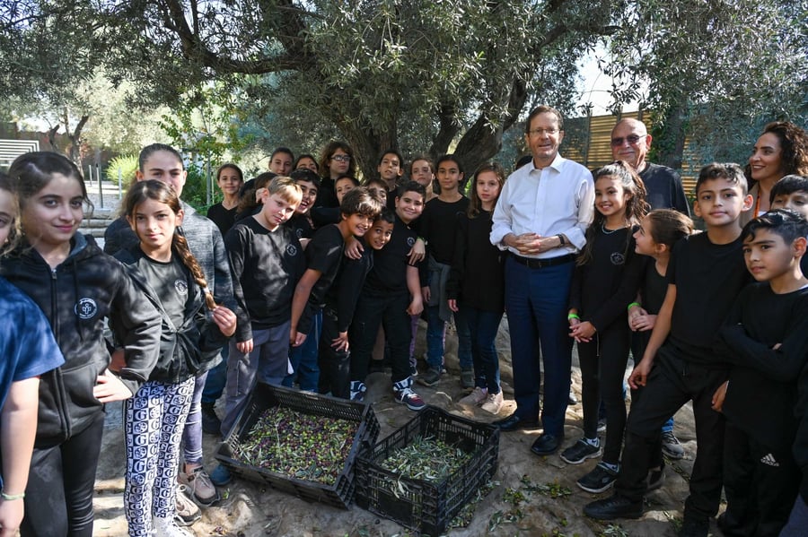בגינת בית הנשיא: הרצוג מסק עצי זיתים עם תלמידים צעירים