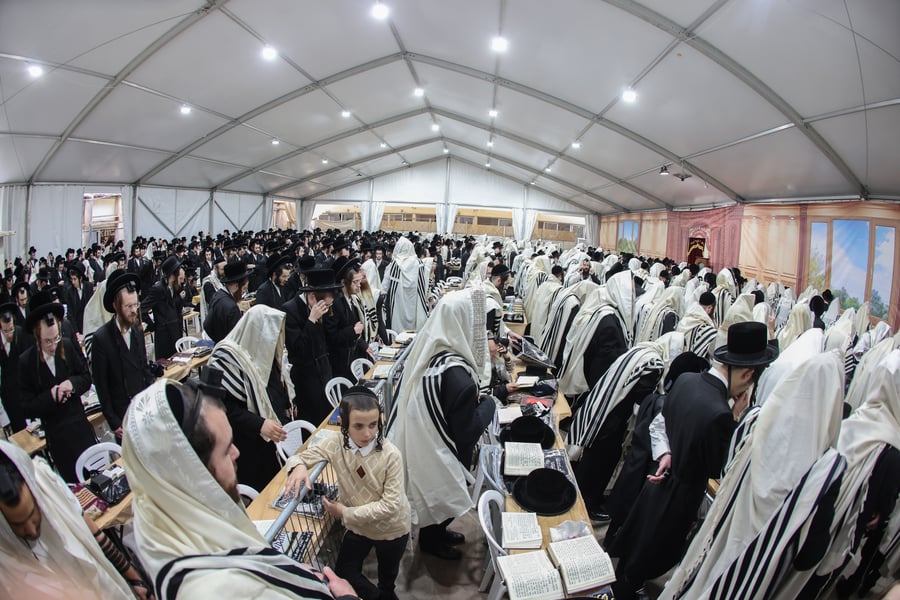 תיעוד מסכם של ביקור האדמו"ר מבאבוב בישראל