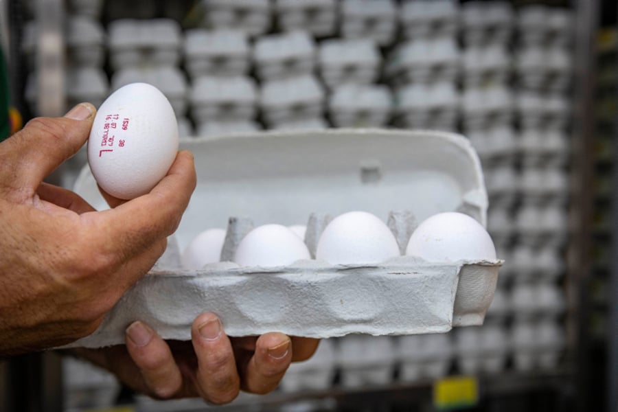 משרד החקלאות מזהיר: אל תאכלו ביצים ללא בישול