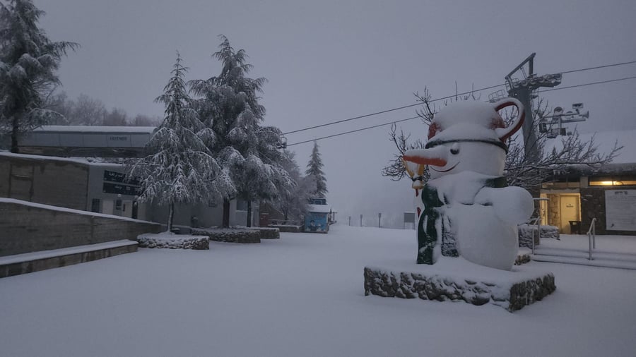 תיעוד קפוא: שלג כבר יורד על הר חרמון • צפו