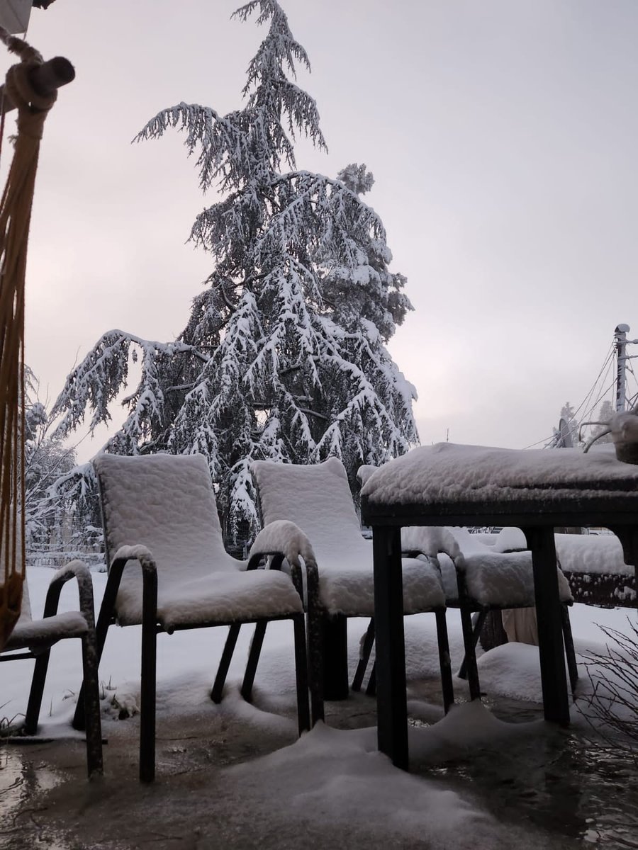 תושבי הגולן התעוררו למרבדי שלג לבנים ויפים | תיעוד