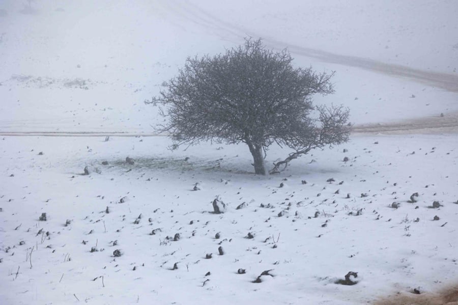 שלג אתמול בגולן