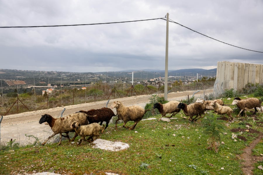 ברקע האירוע הביטחוני: סיור מצולם בגבול עם לבנון