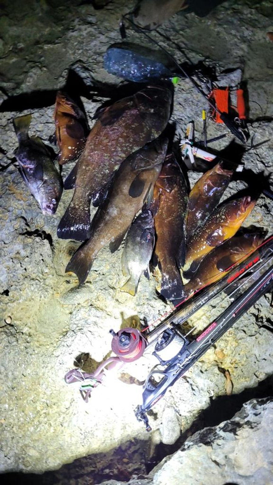 ליד ראש הנקרה: חשודים נתפסו בדיג של ערכי טבע מוגנים