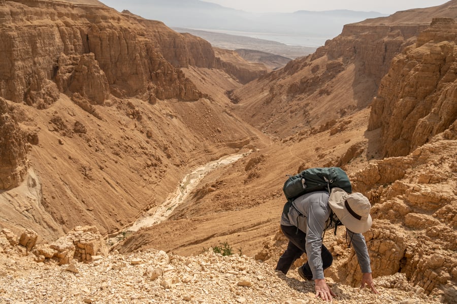 תיעוד מרהיב: ישראלים מטיילים בנחל אשלים
