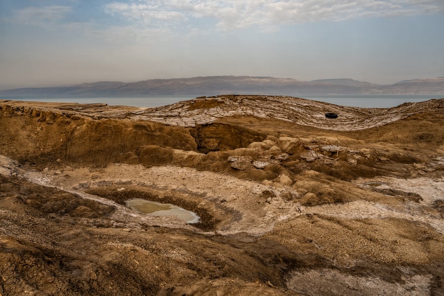 תיעוד מרהיב: ים המלח ותצורות המלח על החוף