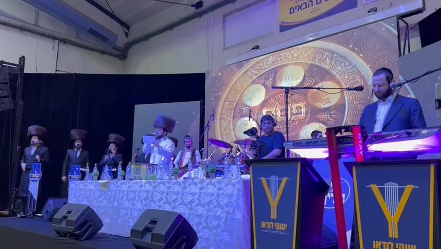 התגובה הויזלית