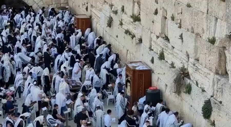 התפילות הבוקר בכותל המערבי