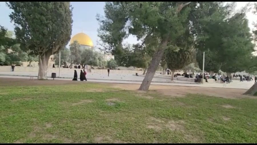 תיעוד מהר הבית: תפילות מוסלמים וביקורי היהודים העולים להר