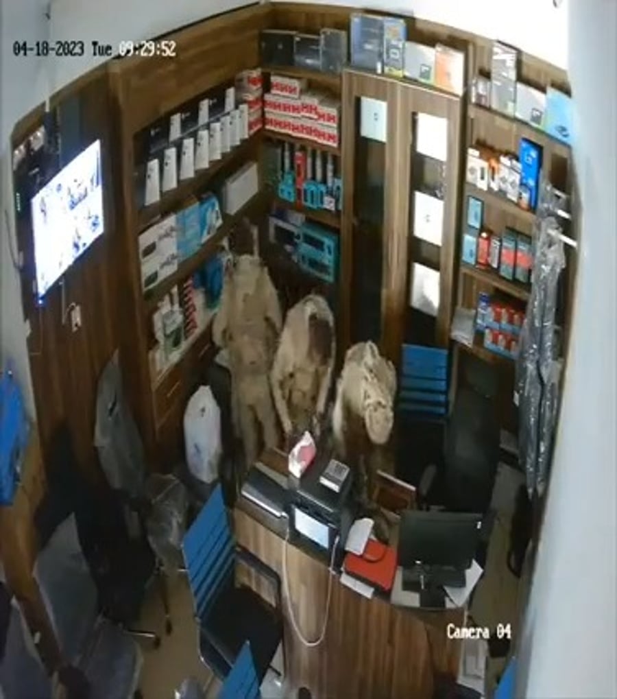 תיעוד: חיילים בוזזים מכולת