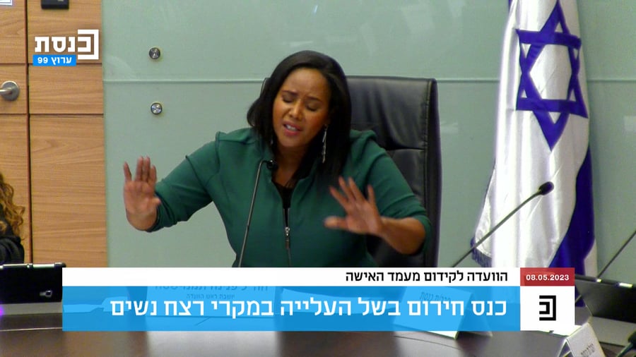 מרב מיכאלי ותמנו שטה, היום בוועדה