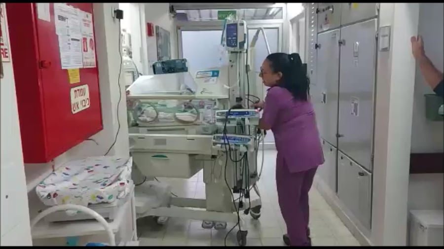 מעבירים את הפגייה