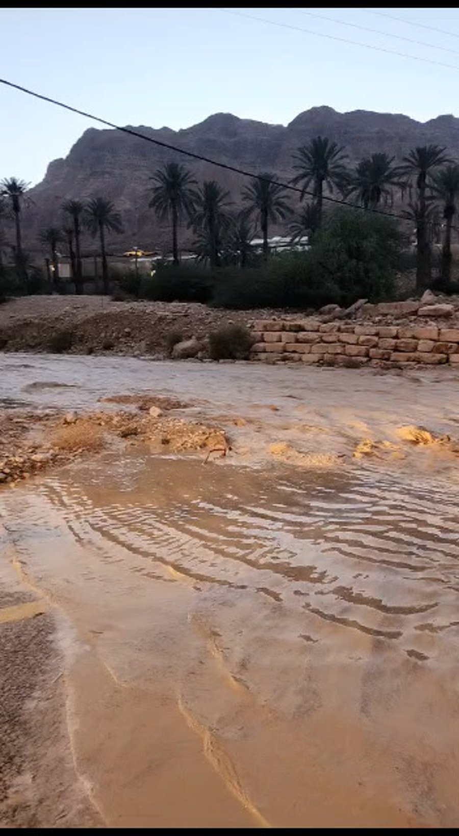 נחל ערוגות בשקיעה, הערב