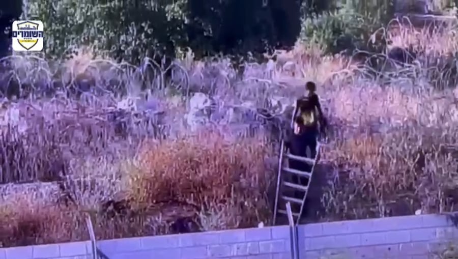 מביאים סולם וחבל לצורך החדירה פנימה