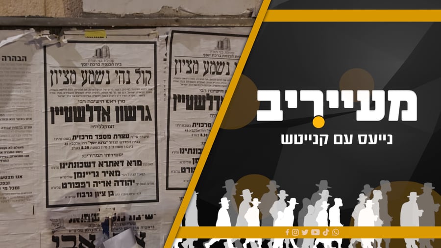 צפו בתוכנית המלאה