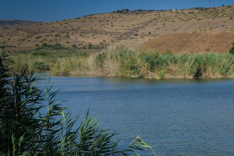התחזית: הטמפרטורות תהיינה רגילות לעונה