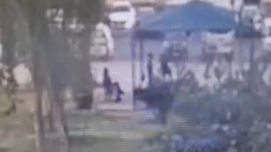 תיעוד האלימות