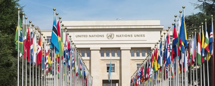  מבנה האו"ם 