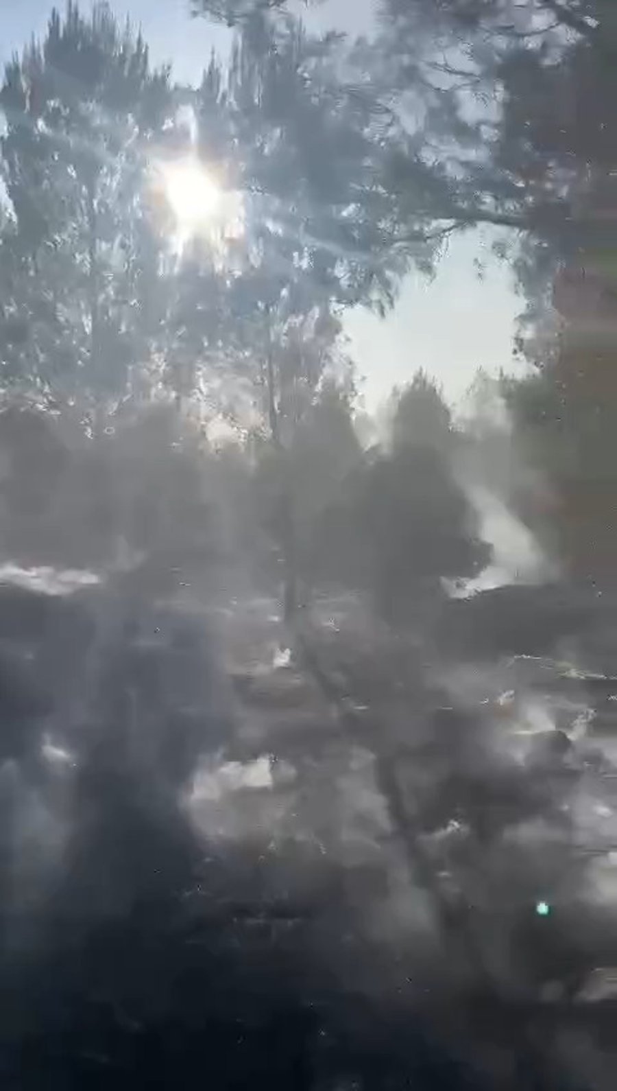 השריפה בענבה, מודיעין