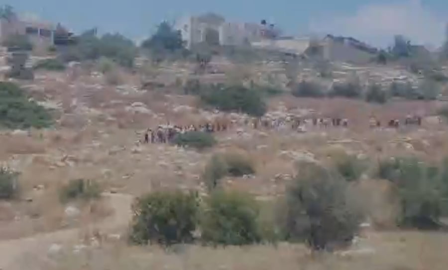 "הצבא לא עושה שום דבר": מאות פלסטינים מול רועה צאן